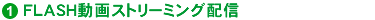 FLASH����X�g���[�~���O�z�M