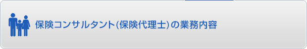 �ی��R���T���^���g�̋Ɩ����e