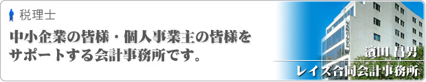 レイズ合同会計事務所